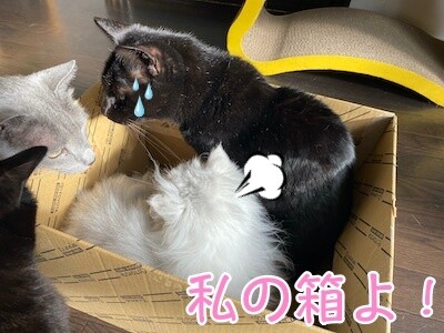 みんな9