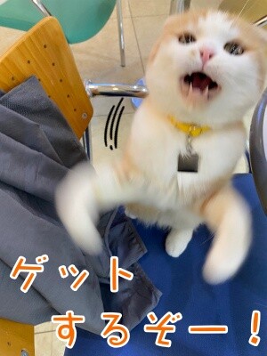 珠若807
