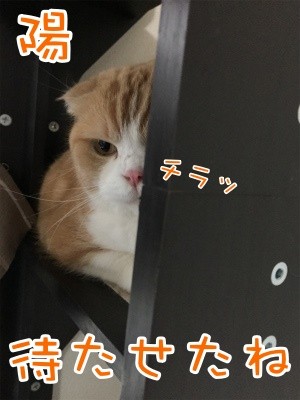 陽191
