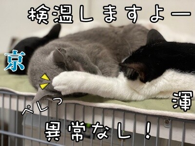 みんな2345
