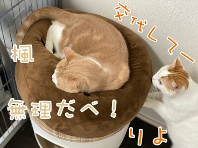 みんな598