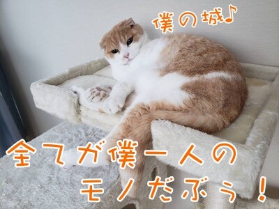 凌66