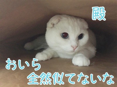 殿483
