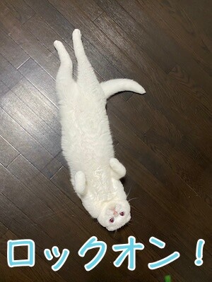 殿7