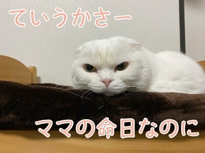 ひめ90