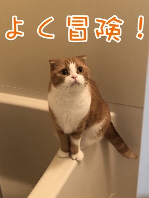 ベルビル156