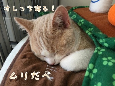 楓39