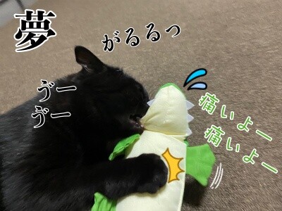夢158