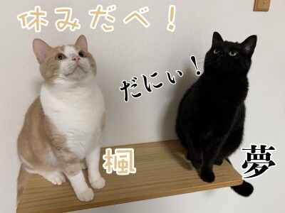みんな1717