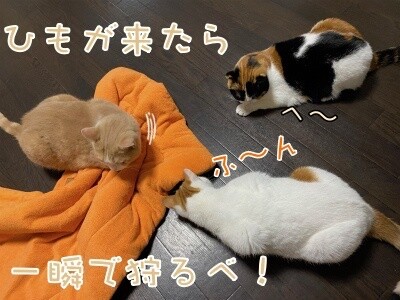 みんな2192