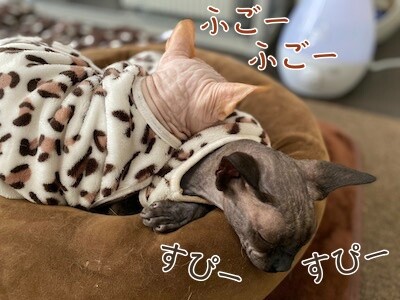みんな1296