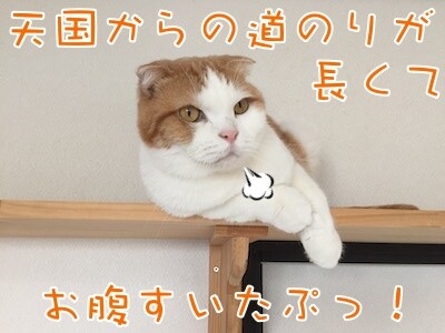 辰346