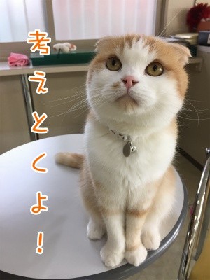 珠若94