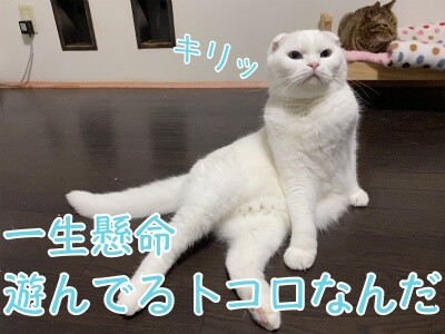 殿689