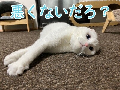 殿771