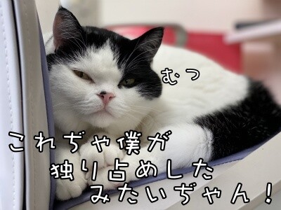 珠若602
