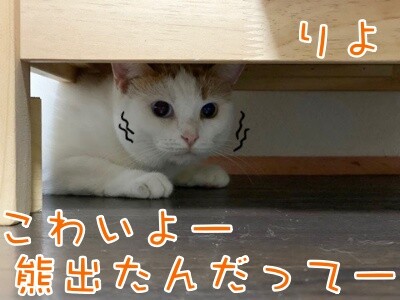 りよ268