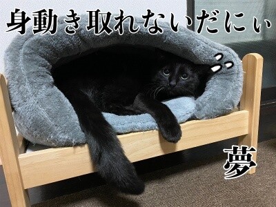 夢167