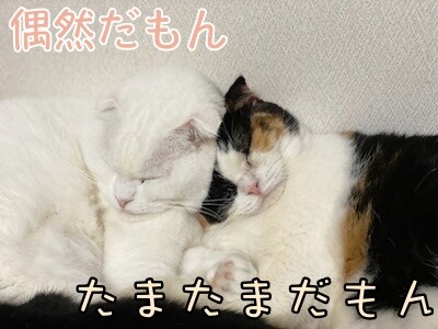 みんな2854