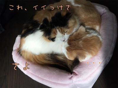 みんな33