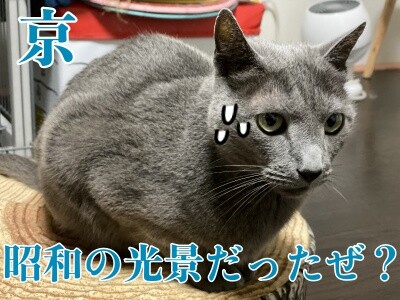 京389