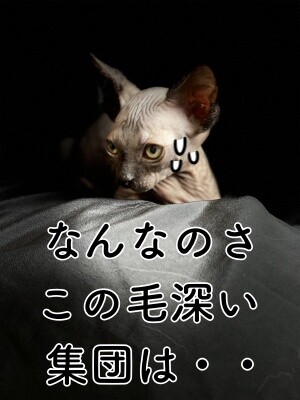 ビオ