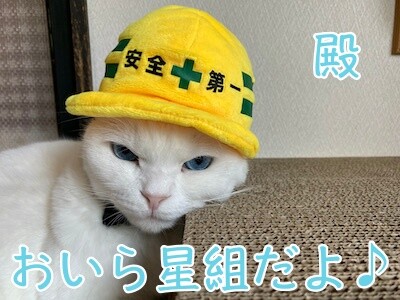 殿1072