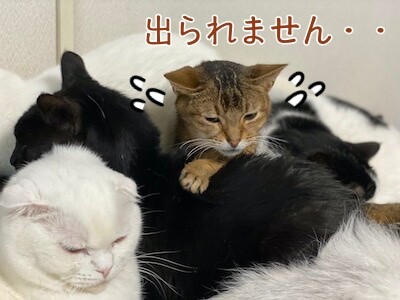 みんな22