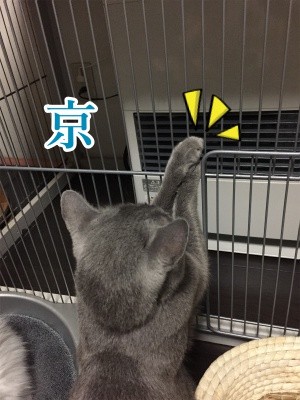 京140
