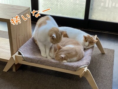 みんな2532