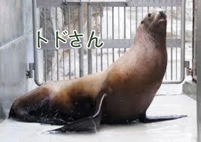 殿29