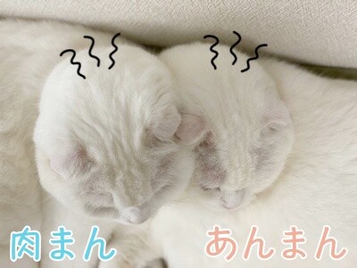 みんな2202