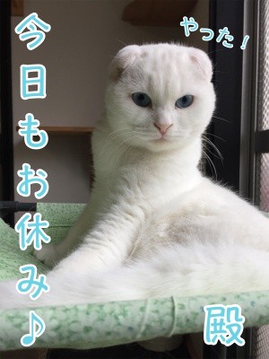 殿24