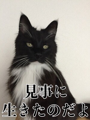 勇129
