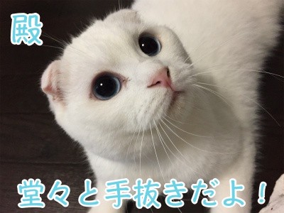 殿103