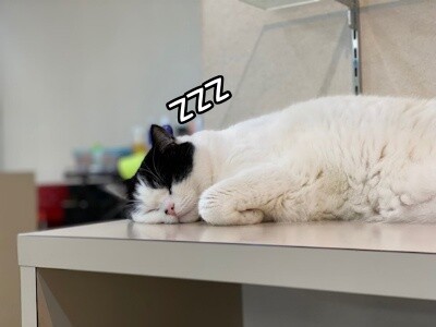 珠若777