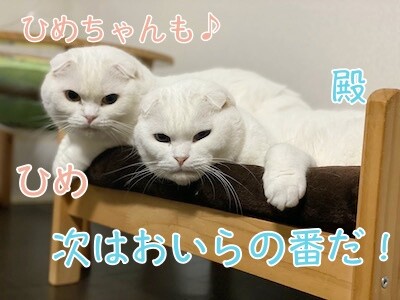 みんな929