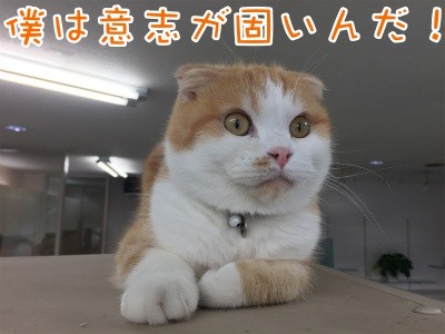 珠若188