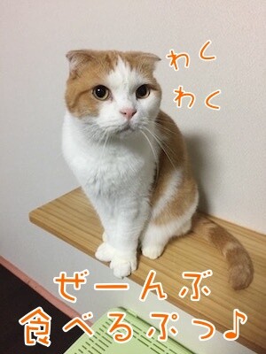 辰347