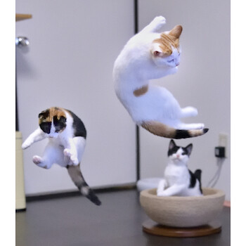 その他354