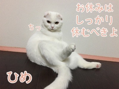 ひめ43