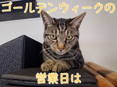 魚卵417