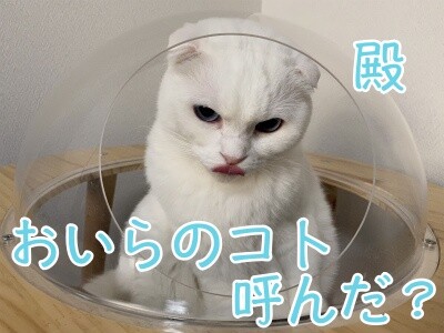 殿625