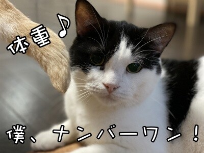 渾141