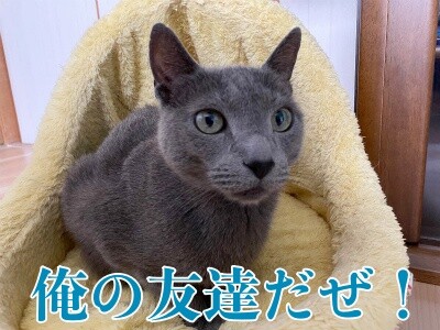 京519
