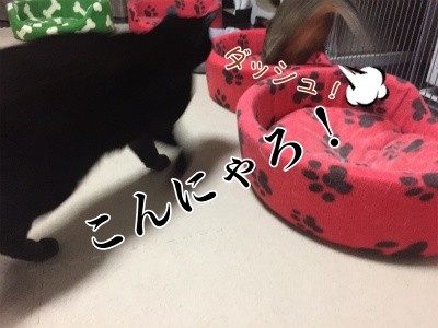 みんな1215