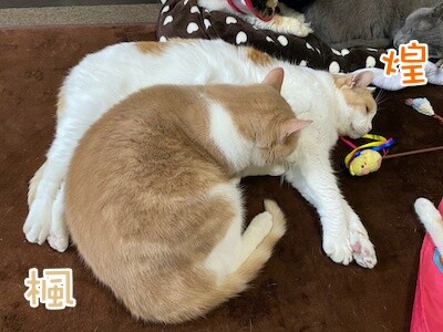 みんな1409