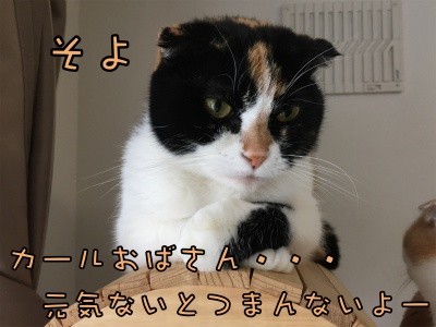そよ63