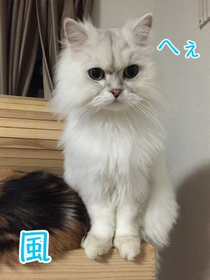 風27