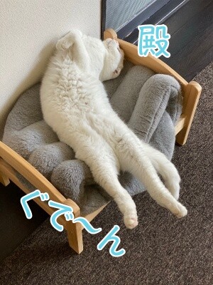 殿829